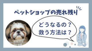 ペットショップで売れ残りになったシーズーはどうなる？行き先と課題 