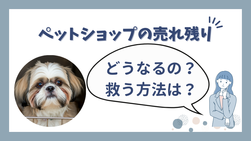 ペットショップで売れ残りになったシーズーはどうなる？行き先と課題 