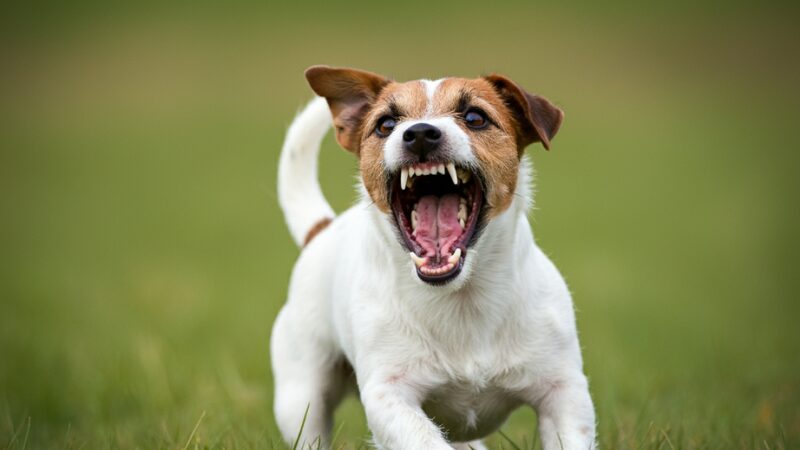 パートナーが感情的に対応できなくなるのはなぜですか?