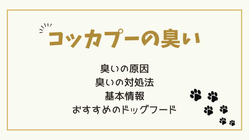 コッカプーは臭いが少ない？臭いの原因と対策を詳しく解説します！ 