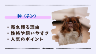 狆が人気ない理由とは？飼いやすさや希少性を詳しく解説 