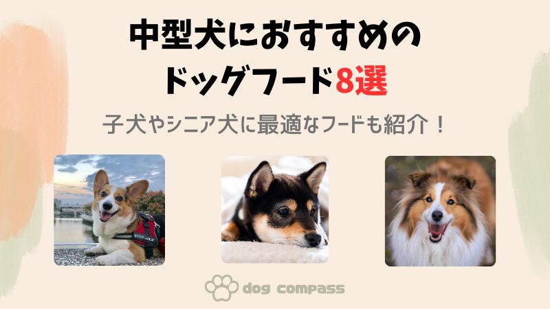 中型犬におすすめのドッグフード｜子犬やシニア犬向けのフードも紹介します！