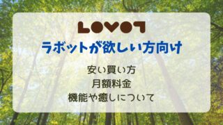 【ラボットが欲しい！】後悔しないために値段の安い迎え方を比較します 