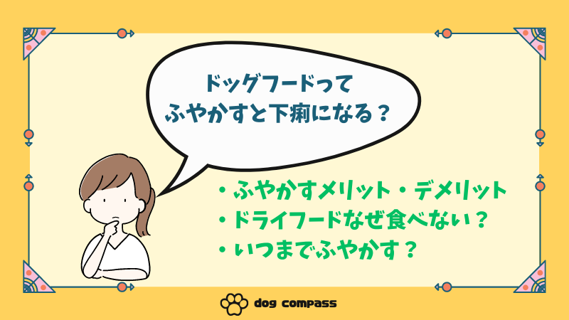 ドッグフードをふやかすと下痢に？正しいふやかし方と食べてくれない犬への対処法