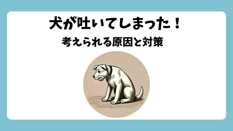 犬が未消化のドッグフードを吐く時の原因と予防法 