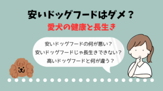 安いドッグフードはダメ？健康と長生きを考えたフード選び 