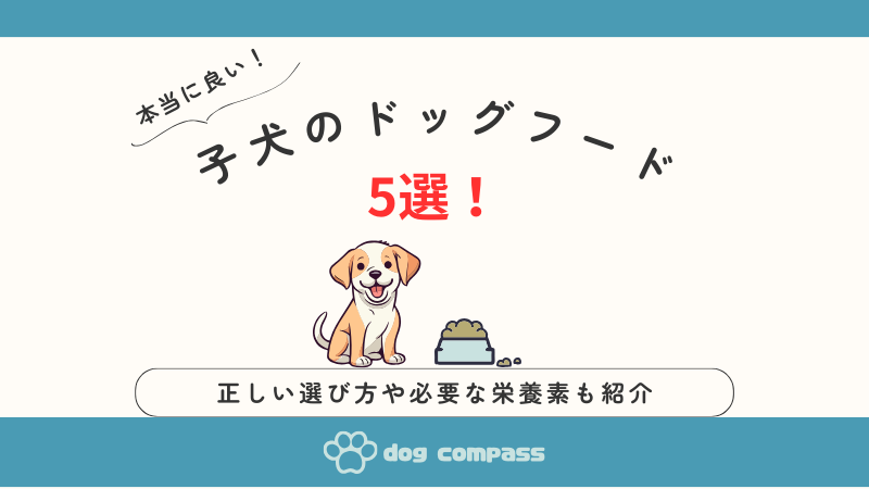 本当に良いドッグフード5選【子犬用】選び方とポイントもしっかり紹介 