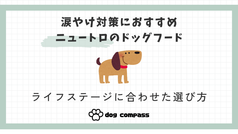 涙やけドッグフードにニュートロはおすすめ！ライフステージに合わせた選び方を解説 