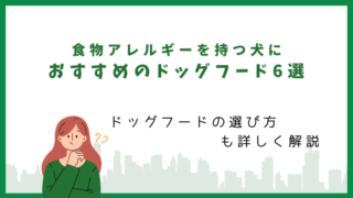 食物アレルギーがある犬におすすめのドッグフード6選 
